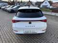 CUPRA Leon 2.0 TSI DSG ACC eHECK NAVI KAMERA Weiß - thumbnail 7