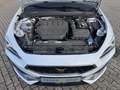 CUPRA Leon 2.0 TSI DSG ACC eHECK NAVI KAMERA Weiß - thumbnail 28