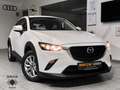 Mazda CX-3 Prime-Line Keyless/Notbremsass./Berganfahrass./Kli Weiß - thumbnail 3