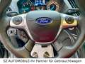 Ford Kuga 2.0TDCi Titanium,BI-XENON,AHK,TEMPOMAT,AWD Grau - thumbnail 19