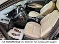 Ford Kuga 2.0TDCi Titanium,BI-XENON,AHK,TEMPOMAT,AWD Grau - thumbnail 9