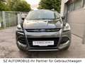 Ford Kuga 2.0TDCi Titanium,BI-XENON,AHK,TEMPOMAT,AWD Grau - thumbnail 1