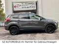 Ford Kuga 2.0TDCi Titanium,BI-XENON,AHK,TEMPOMAT,AWD Grau - thumbnail 8