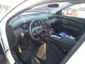 Hyundai TUCSON 1.6 CRDI 48V Tecno 2C 4x4 DT - thumbnail 10
