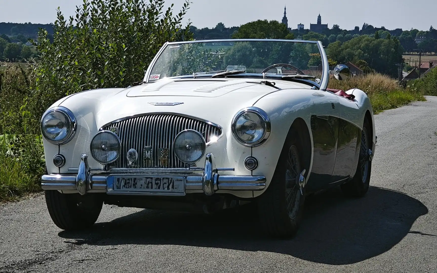 Austin-Healey 100 ''Le Mans'' - 1