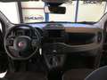 Fiat Panda Panda Cross 1.0 FireFly S&S Hybrid MY24 STK Blanc - thumbnail 10