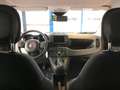 Fiat Panda Panda Cross 1.0 FireFly S&S Hybrid MY24 STK Blanc - thumbnail 11