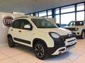 Fiat Panda Panda Cross 1.0 FireFly S&S Hybrid MY24 STK Blanc - thumbnail 5