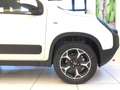 Fiat Panda Panda Cross 1.0 FireFly S&S Hybrid MY24 STK Blanc - thumbnail 9