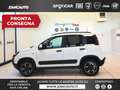 Fiat Panda Panda Cross 1.0 FireFly S&S Hybrid MY24 STK Blanc - thumbnail 1