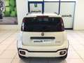 Fiat Panda Panda Cross 1.0 FireFly S&S Hybrid MY24 STK Blanc - thumbnail 7