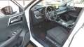 Mitsubishi Outlander 2.4L PHEV BASIS 8 Jahre Garantie Blanc - thumbnail 14