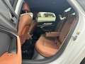 Audi A6 35 TDI S Line MATRIX/AHK/ACC/B&O/STANDH/LEDER Weiß - thumbnail 17