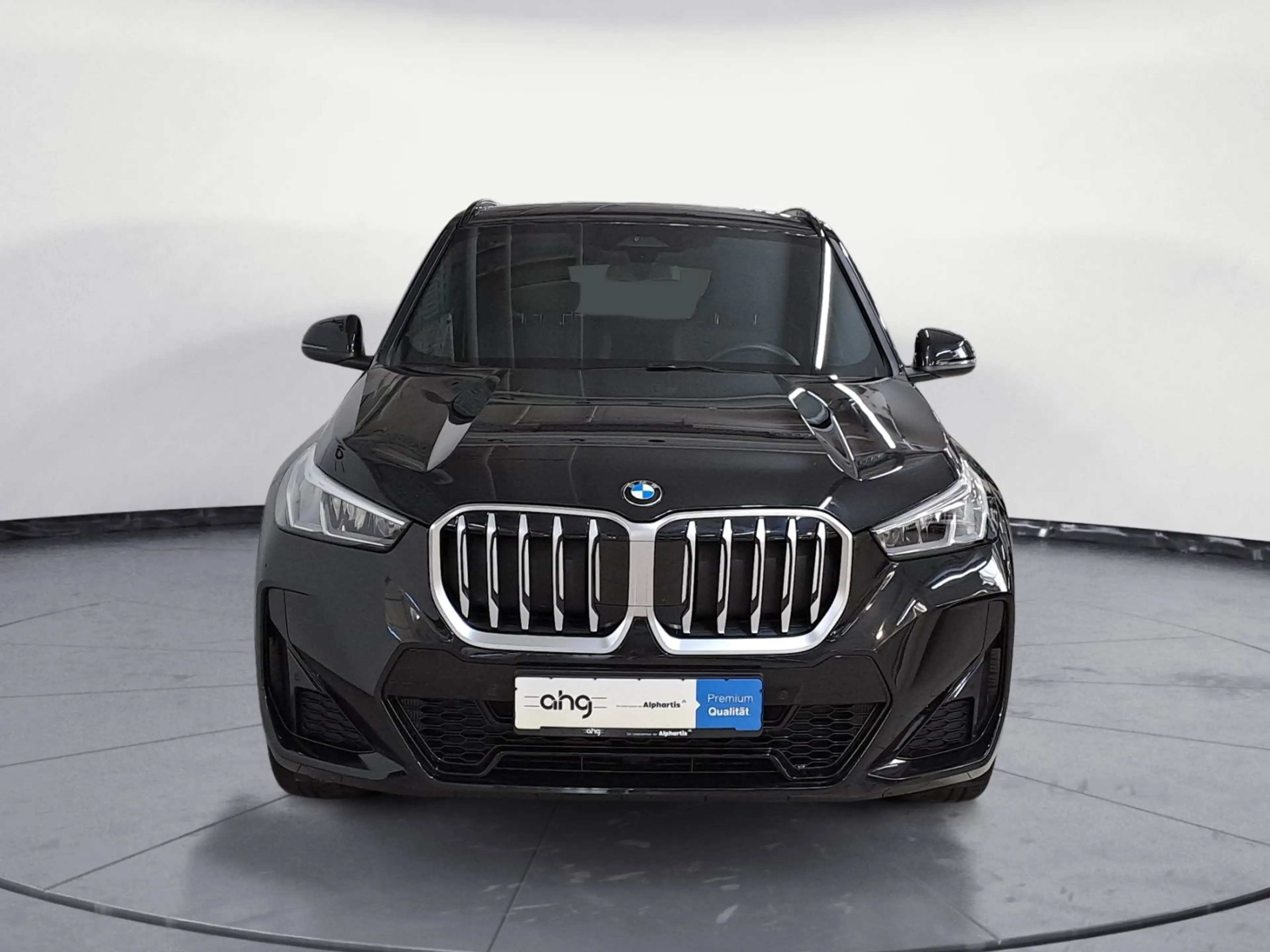 BMW X1 sDrive20i M Sportpaket AHK Harman&Kardon 19 Z — photo 10