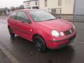 Volkswagen Polo Rouge - thumbnail 3