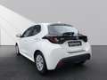 Toyota Yaris 1.0 Comfort*Klima*Kamera*CarPlay*Android* Weiß - thumbnail 5