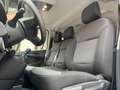 Nissan Primastar VAN 9 POSTI//PROMO IVA ESCLUSA Blanc - thumbnail 13