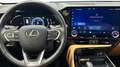Lexus NX 450h+ PREMIUM + Negro - thumbnail 10