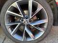 Skoda Superb 2.0 TDI SportLine 4x4 Green tec Schwarz - thumbnail 13