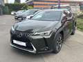 Lexus UX 250h Executive Line Vert - thumbnail 17