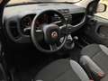 Fiat Panda Panda III 1.0 firefly hybrid s&s 70cv 5posti*PROMO Rot - thumbnail 7