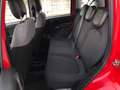 Fiat Panda Panda III 1.0 firefly hybrid s&s 70cv 5posti*PROMO Rot - thumbnail 14
