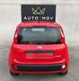 Fiat Panda Panda III 1.0 firefly hybrid s&s 70cv 5posti*PROMO Rosso - thumbnail 5