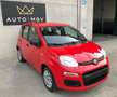 Fiat Panda Panda III 1.0 firefly hybrid s&s 70cv 5posti*PROMO Rosso - thumbnail 3