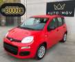Fiat Panda Panda III 1.0 firefly hybrid s&s 70cv 5posti*PROMO Rot - thumbnail 1