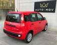 Fiat Panda Panda III 1.0 firefly hybrid s&s 70cv 5posti*PROMO Rot - thumbnail 4