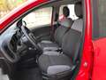 Fiat Panda Panda III 1.0 firefly hybrid s&s 70cv 5posti*PROMO Rot - thumbnail 8