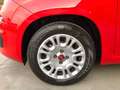 Fiat Panda Panda III 1.0 firefly hybrid s&s 70cv 5posti*PROMO Rosso - thumbnail 15