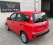 Fiat Panda Panda III 1.0 firefly hybrid s&s 70cv 5posti*PROMO Rot - thumbnail 6