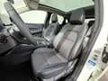 Nissan Qashqai 1.3 MHEV Xtronic Premiere Edition Automaat / Panor Wit - thumbnail 7