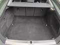 Audi A5 SPB 40 TDI S tronic S line edition Verde - thumbnail 14