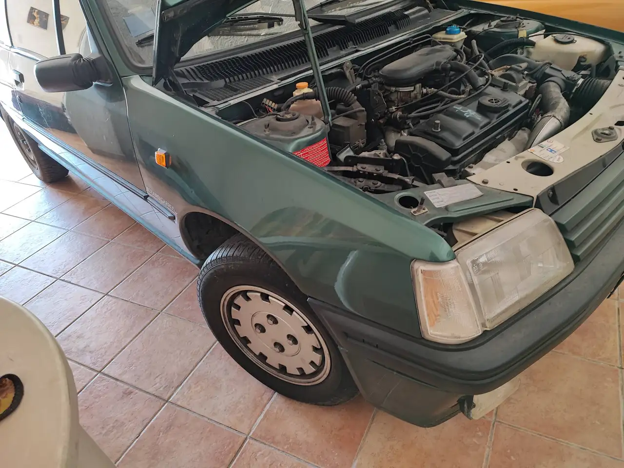 Peugeot 205 Cabrio 1.4 Roland Garros, foto 9