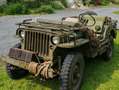 Jeep Willys - thumbnail 4