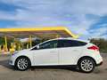 Ford Focus 1.5TDCi ST-Line Red&Black Ed. 120 - thumbnail 4