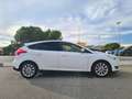 Ford Focus 1.5TDCi ST-Line Red&Black Ed. 120 - thumbnail 5