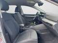 Volkswagen Golf VIII Life 1.5 TSI NAVI LED-PLUS TRAVEL ASSI Silber - thumbnail 4