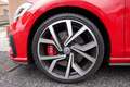 Volkswagen Golf GTI Performance 2.0 245 CV TSI 5p. MAN-TETTO-"19-DYN Czerwony - thumbnail 9
