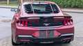 Ford Mustang 2025 Modell 2.3L Ecob. im Vorlauf Rood - thumbnail 4