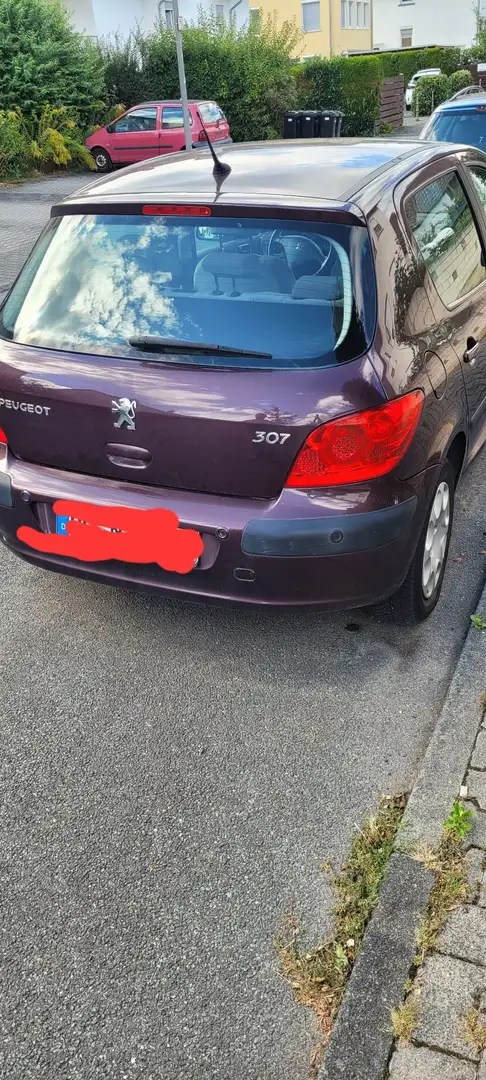 Peugeot 307 Premium Violett - 2