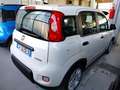 Fiat Panda 1.0 FireFly S&S Hybrid km 2.000 Bianco - thumbnail 8