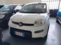 Fiat Panda 1.0 FireFly S&S Hybrid km 2.000 Bianco - thumbnail 3