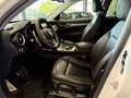 Alfa Romeo Stelvio 2.2 Turbodiesel 210 CV AT8 Q4 Executive *UNICO PR Bianco - thumbnail 13