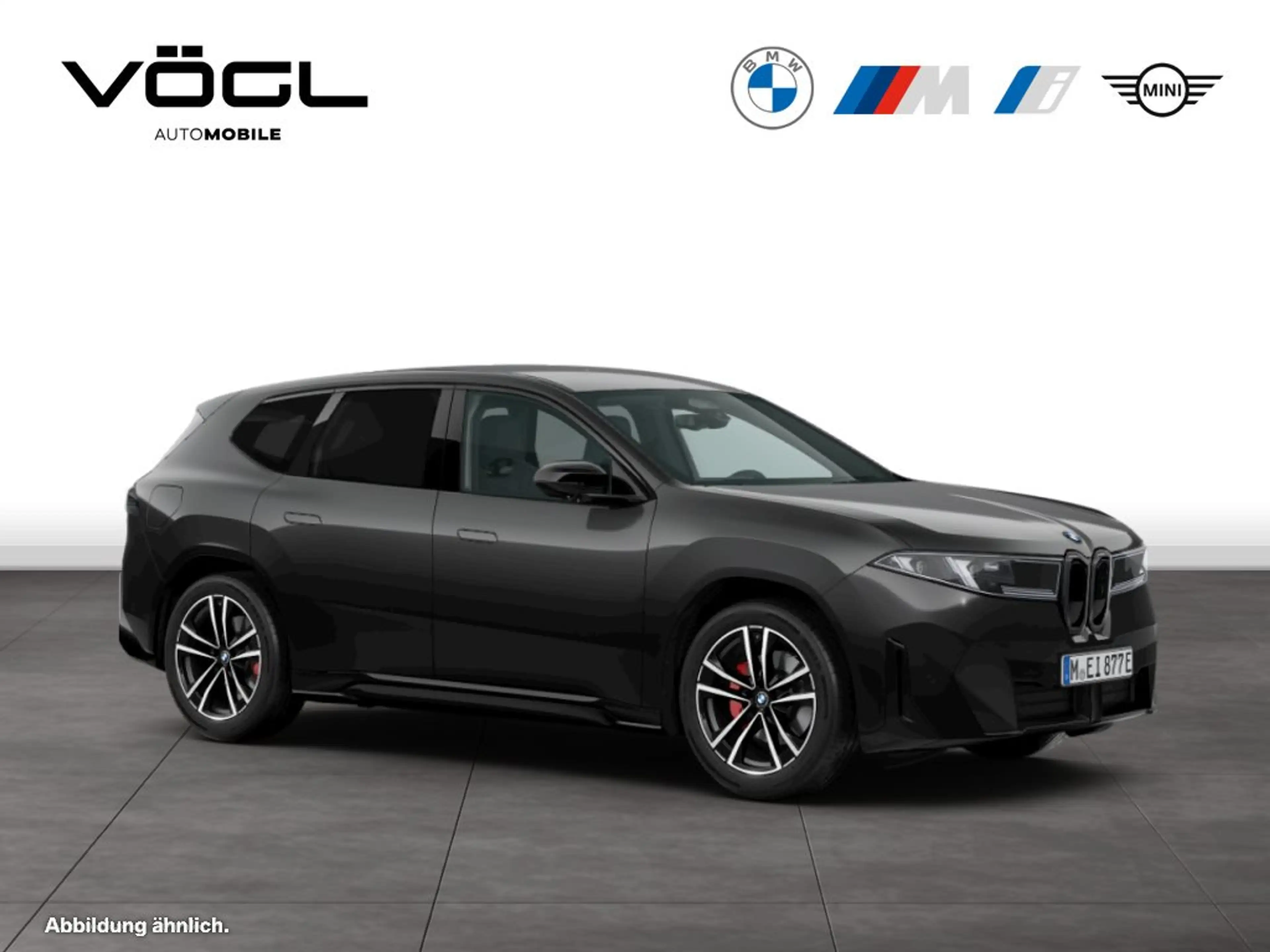 BMW iX3 50 xDrive Sportpaket Head-Up HK HiFi DAB — photo 9