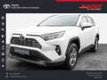 Toyota RAV 4 RAV4 - 2.5 l Hybrid 4x2 Business Edition 5884 KM Wit - thumbnail 1