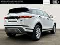 Land Rover Range Rover Evoque S Hybrid 1.5 P300e EU6d Allrad 360 Kamera Navi Led Wit - thumbnail 2