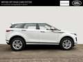 Land Rover Range Rover Evoque S Hybrid 1.5 P300e EU6d Allrad 360 Kamera Navi Led Bianco - thumbnail 6